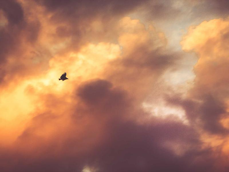 zalo中文版下载安卓